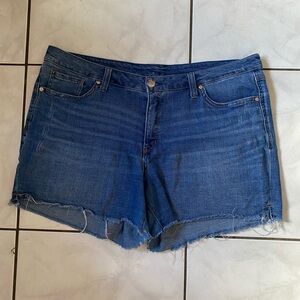 Seven7 Women's Classic Blue Jean Shorts